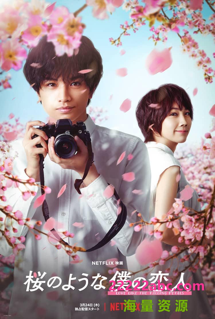2022日本爱情《我的樱花恋人》HD1080P.日语中字4K|1080P高清