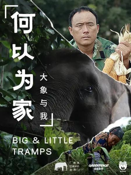 [何以为家：大象与我][全3集] [中文字幕][1080P]4K|1080P高清