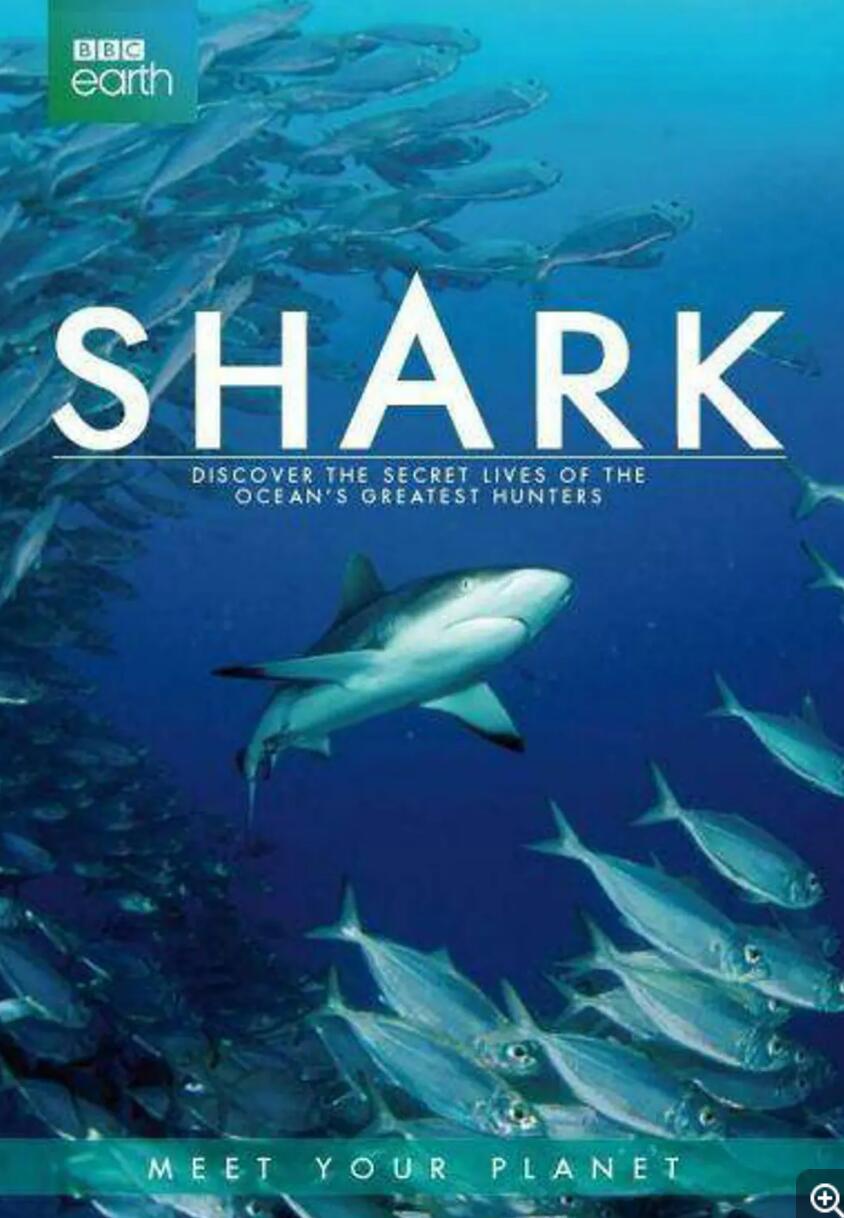 [BBC：Shark 鲨鱼 2015][全3集] [2015年][英音轨/内置中英字幕][MP4/720P/2.34G4K|1080P高清