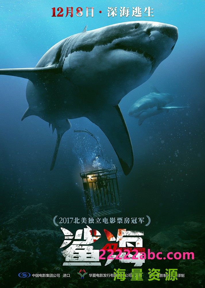  《鲨海》4k|1080p高清