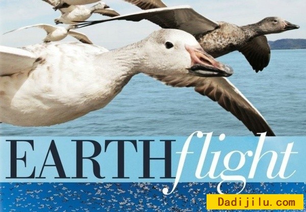 BBC自然类纪录片《鸟瞰地球 Earthflight》全6集 1080P高清