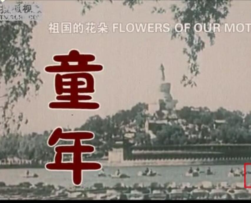 【电影传奇：马路天使-天涯海角\\祖国的花朵-童年】[2005][国语][217MB\213MB][MKV]4K|1080P高清