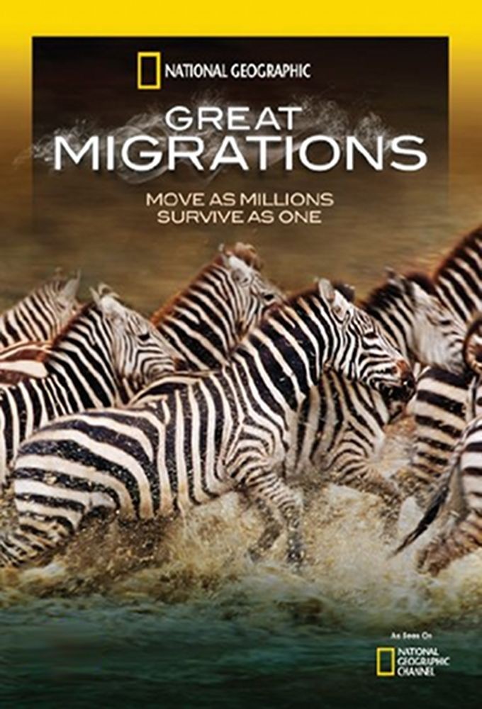 [大迁徙 Great Migrations 第一季][全04集][英语中字]4K|1080P高清