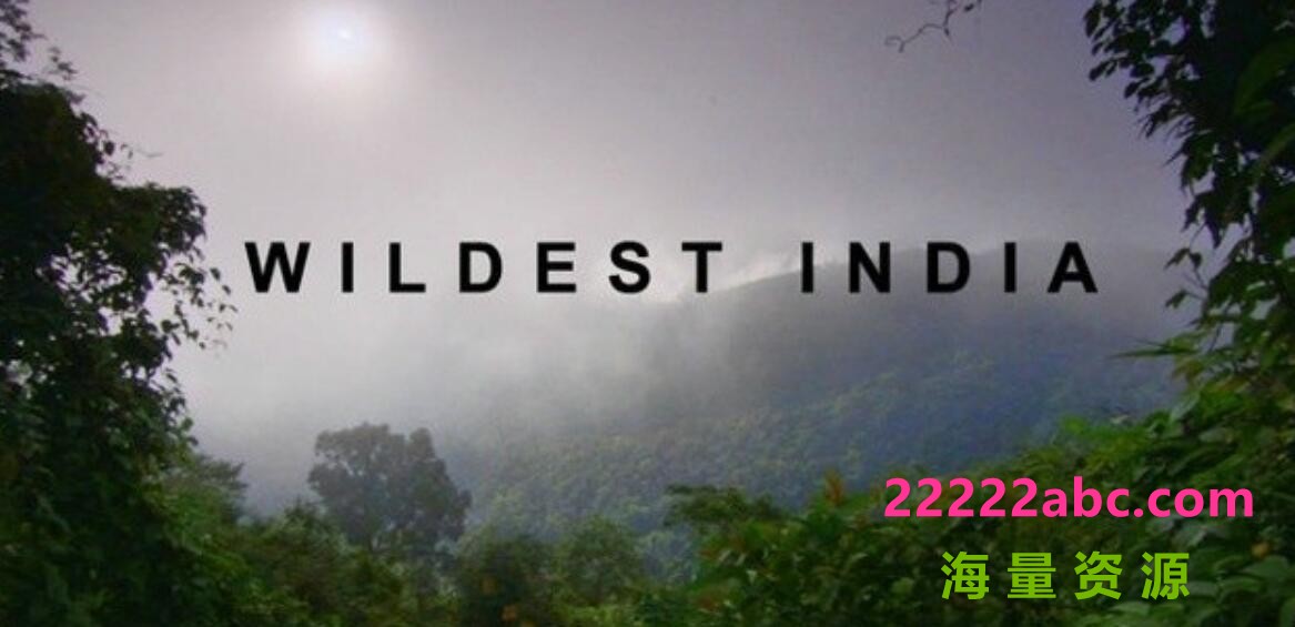 纪录片《印度野生大地/狂野印度 Wildest India》全4集 720P高清4k|1080p高清