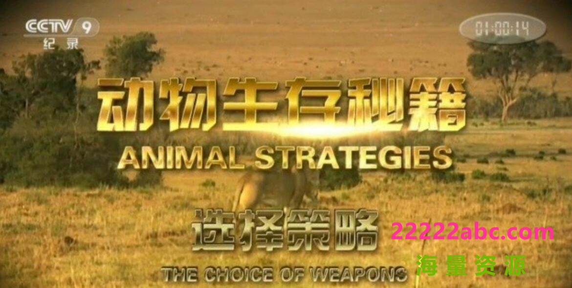 纪录片《动物生存秘籍 Animal Strategies》全6集 汉语中字 1080P高清4k|1080p高清