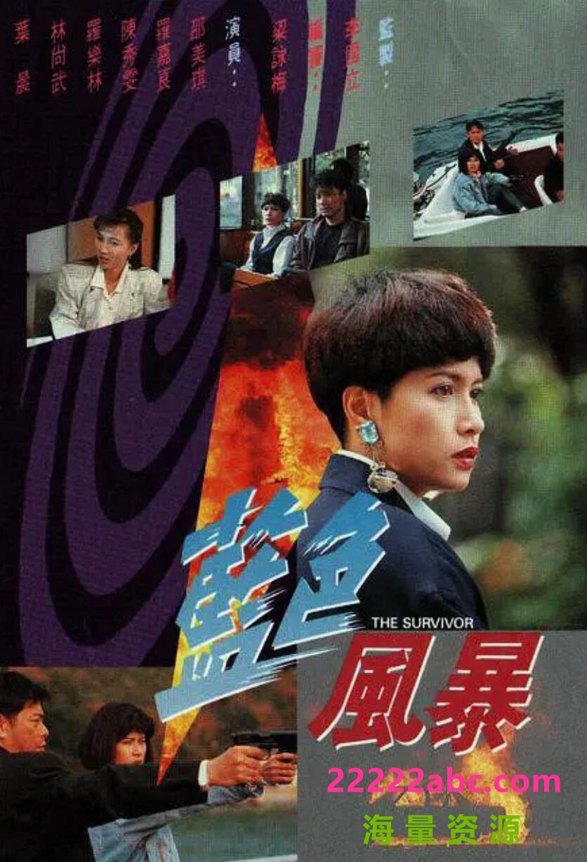 [香港/TVB/1991]蓝色风暴 [20集全/每集约280MB][粤语]4k|1080p高清