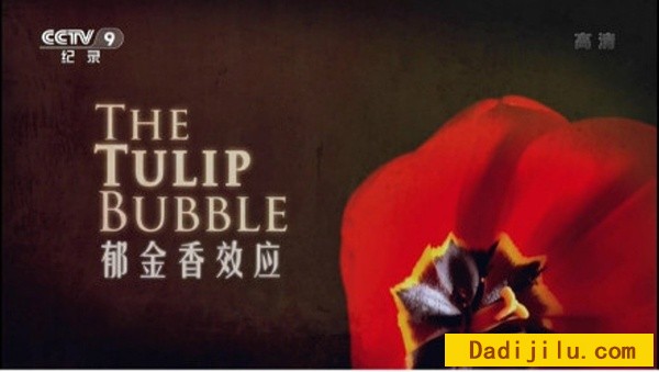 纪录片《郁金香效应 The Tulip Bubble》汉语中字