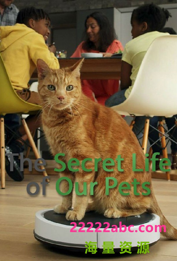 [我们宠物的秘密生活 The Secret Life of Our Pets 第一季][全04集][英语中字]4K|1080P高清