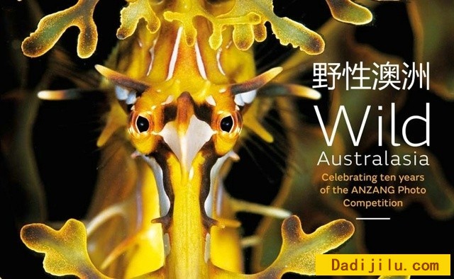 BBC纪录片《野性澳洲 Wild Australasia 2003》全6集 DVD