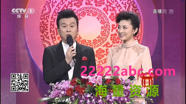 [2015][内地]《CCTV2015中国谜语大会第二季》 3期全[HD_8.5G]|综艺节目|下载|4k|1080p高清
