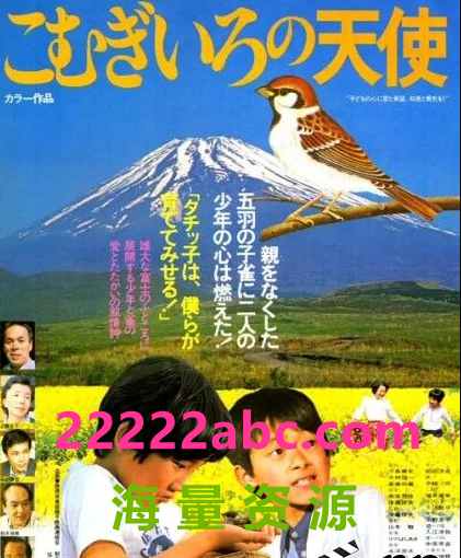  1978日本高分剧情《栗色的小天使》DVD1080P.国语中字4k|1080p高清