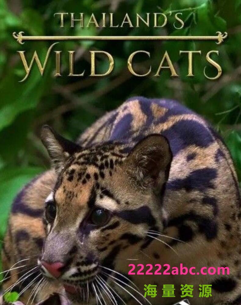 2021自然纪录片《泰国野生猫科》HD1080P.中字4K|1080P高清