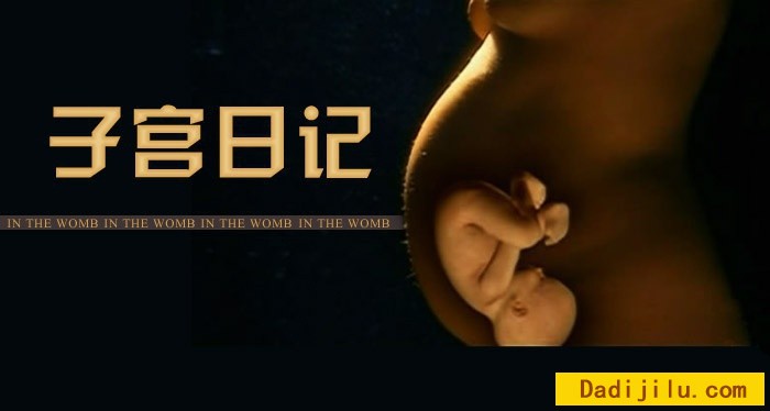 国家地理频道《子宫日记 In the Womb》全8季 英语中字 高清