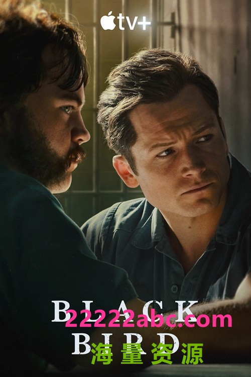 [黑鸟 Black Bird 第一季][全06集][英语中字]4K|1080P高清