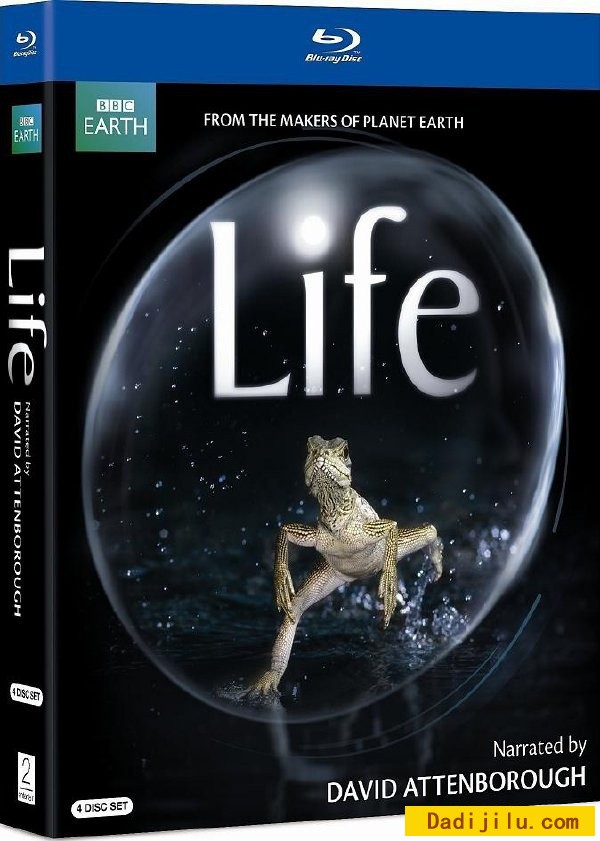 BBC《生命 Life》全10集 英语中文字幕 720P高清