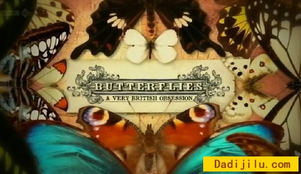 BBC自然世界《翩翩蝴蝶—英国式迷恋 Butterflies: A Very British Obsession》