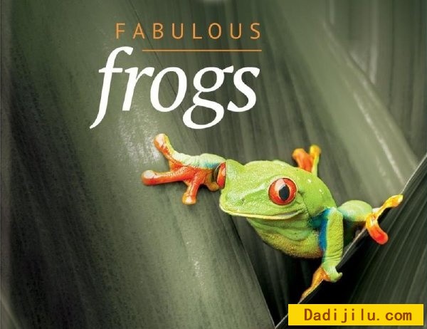 BBC自然世界《神奇的青蛙 Fabulous Frogs》英语中字 1080P