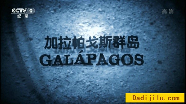 BBC《加拉帕戈斯群岛 Galapagos》全3集 1080P纪录片超清收藏版 高清