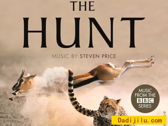 BBC纪录片《狩猎/猎捕 The Hunt》全7集 更新中 英语中英双字