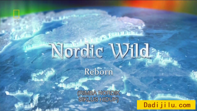 国家地理频道《北欧野生风情录 Nordic Wild》全4集 1080P高清纪录片