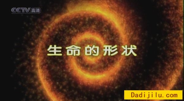 纪录片《生命的形状 Shape of Life》下载 全8集 汉语中字 1080P高清
