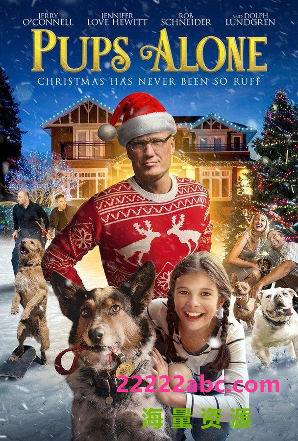 2021喜剧《灵犬当家：圣诞节的危险》1080p.BD中英双字4K|1080P高清