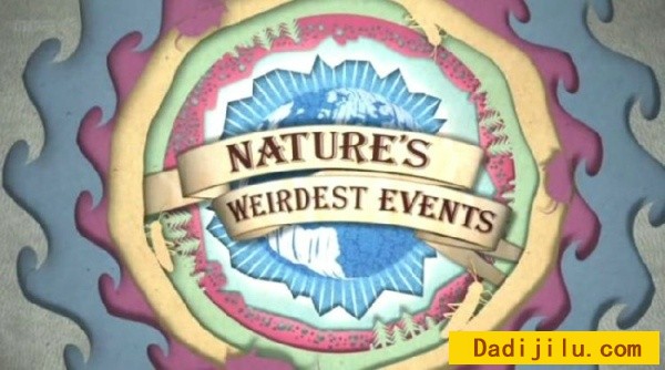 BBC《自然界最怪异的事件 Natures Weirdest Events》全2集 英语中字高清