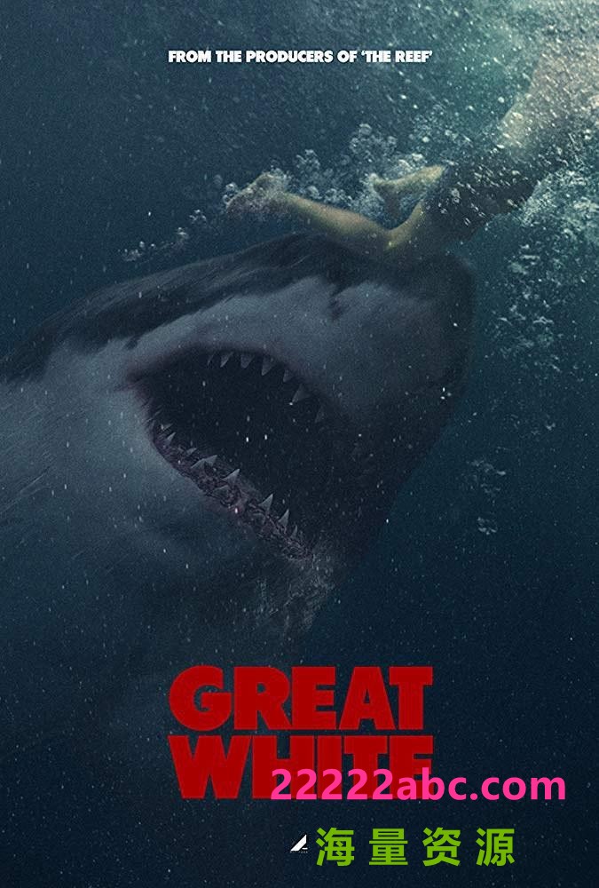 2020惊悚剧情《大浪白鲨》1080p.BD中字4K|1080P高清