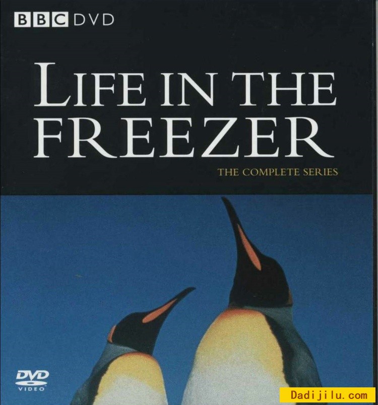 BBC《冰雪的童话 Life In the Freezer》全六集 英语中字