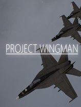 《僚机计划》正式版|官方中文|Project Wingman|免安装简体中文绿色版|解压缩即玩][CN]