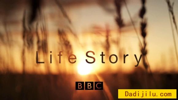 BBC《生命的故事 Life Story》第一季 全6集 4K拍摄 1080P超高清
