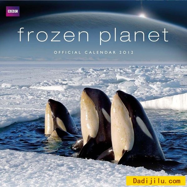 BBC经典纪录片《冰冻星球 Frozen Planet》全8集 英语中字