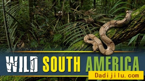 BBC生态纪录片《野性南美洲 Wild South America 2002》全6集