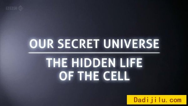 BBC人体细胞纪录片《人体奥妙之细胞的暗战 The Hidden Life of the Cell》全1集