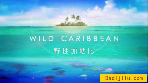 BBC《野性加勒比 Wild Caribbean》全4集 中英双字幕 720P高清