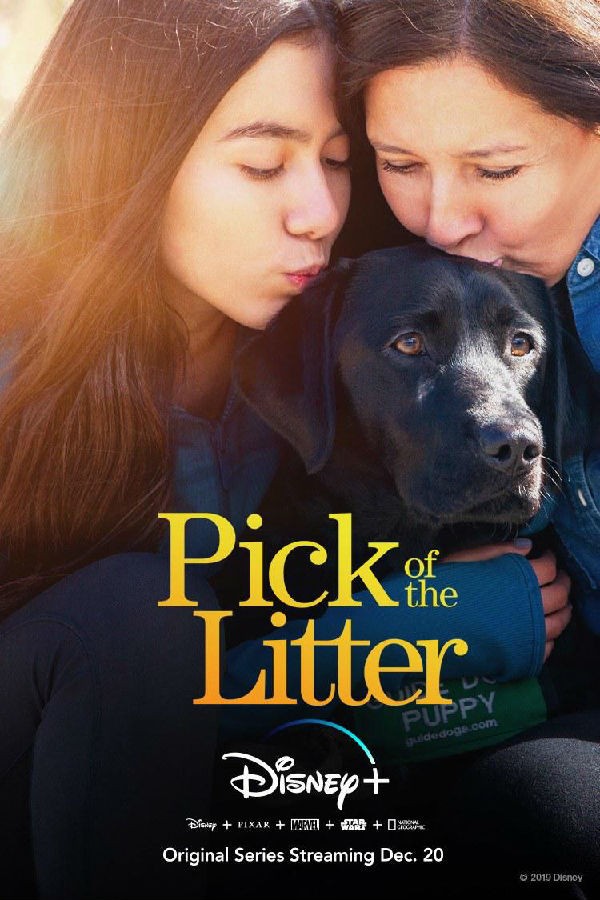 [崽之抉择 Pick of the Litter 第一季][全06集]4k|1080p高清