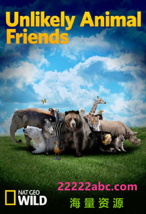 [不可思议的好朋友 Unlikely Animal Friends 第一至三季][全03季][英语中字]4K|1080P高清