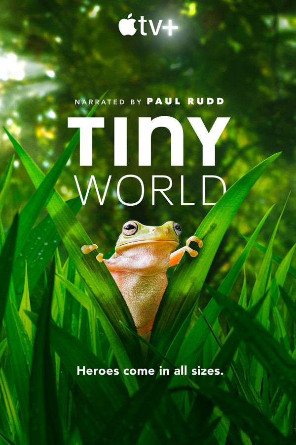 [小小世界 Tiny World 第二季][全06集]4K|1080P高清