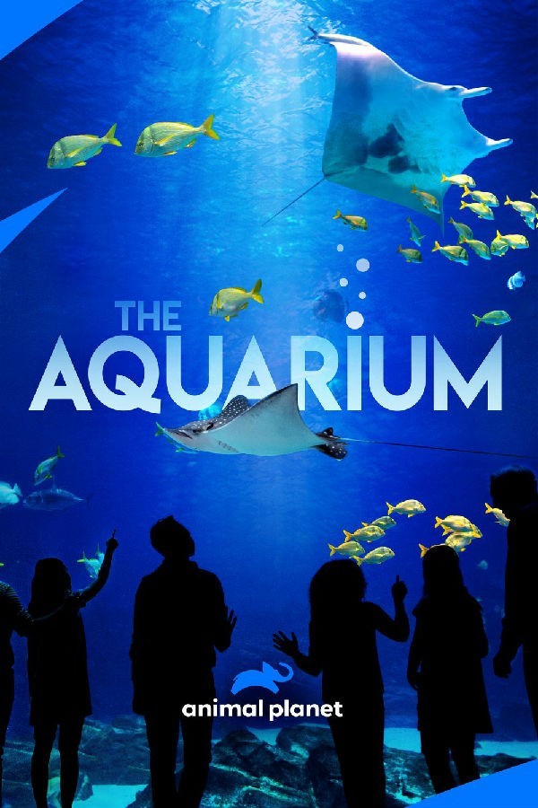 [水族馆/The Aquarium 第二季][全集]4K|1080P高清