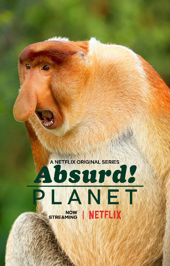 [怪诞星球 Absurd Planet][全12集]4K|1080P高清