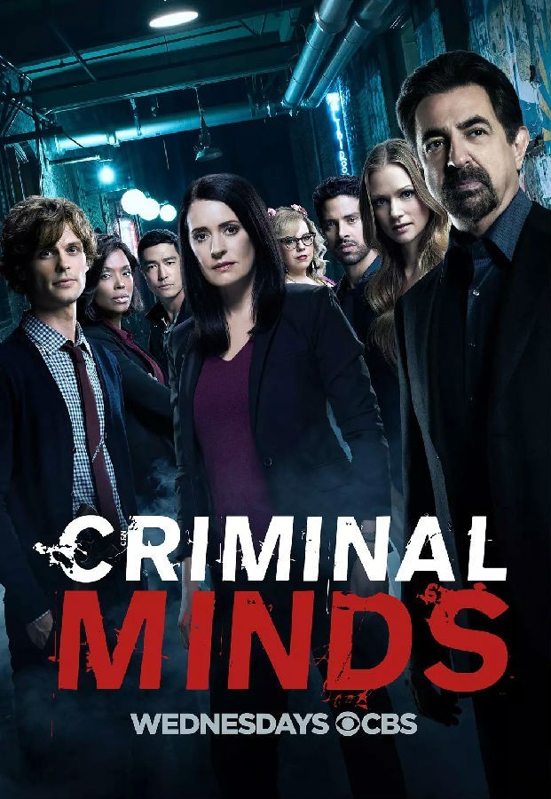[犯罪心理/Criminal Minds 第十三季][全22集]4k|1080p高清