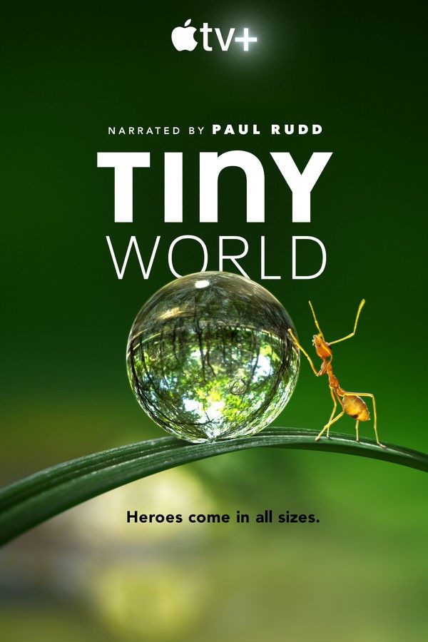 [小小世界 Tiny World 第一季][全06集]4K|1080P高清