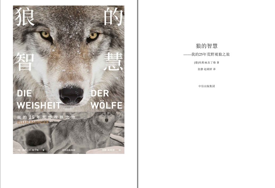 《狼的智慧》我的25年荒野观狼之旅 给困顿于水泥丛林都市人的自然慰藉[pdf.epub]