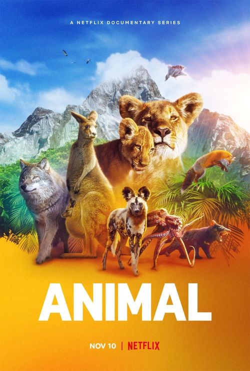 [动物本色 Animal 第一季][全04集][英语中字]4K|1080P高清
